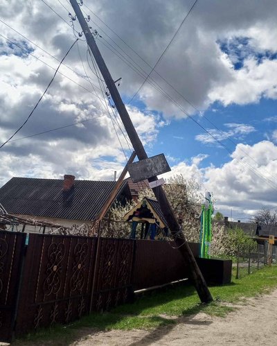 повалило дерева повалило дерева
