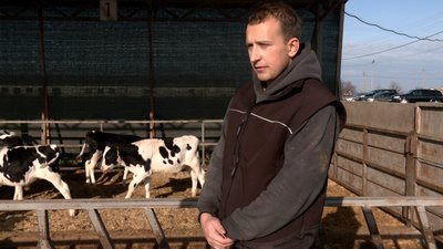 Стадо — "під ніж": ферма на Черкащині опинилася під загрозою закриття Стадо — "під ніж": ферма на Черкащині опинилася під загрозою закриття