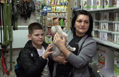 Змінила російське громадянство на українське: у Черкасах живе кішка Суджа Змінила російське громадянство на українське: у Черкасах живе кішка Суджа