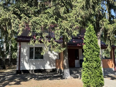 На Полтавщині лісівники заготовляють дрова для населення: як можна купити На Полтавщині лісівники заготовляють дрова для населення: як можна купити