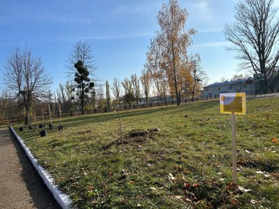 "Гай дитячих снів": в Умані на Черкащині висадили дерева в пам’ять про загиблих дітей "Гай дитячих снів": в Умані на Черкащині висадили дерева в пам’ять про загиблих дітей