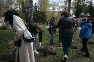 Сумські медики висадили бузок у парку Кожедуба у пам'ять про загиблих на війні Сумські медики висадили бузок у парку Кожедуба у пам'ять про загиблих на війні