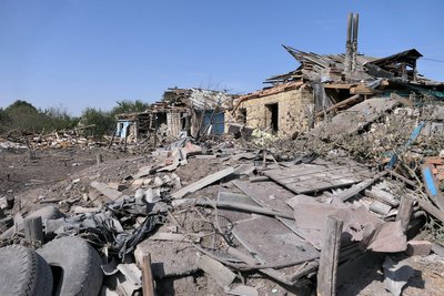 Береза
