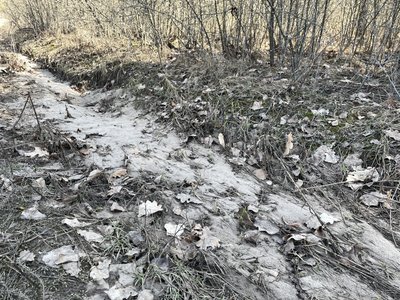 На Полтавщині зливали нечистоти з асенізатора у лісі та на околицях сіл: кого підозрюють у цьому місцеві На Полтавщині зливали нечистоти з асенізатора у лісі та на околицях сіл: кого підозрюють у цьому місцеві