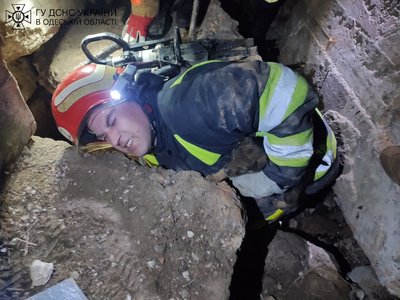 На Одещині врятували цуценят, які застрягли під залізобетонними блоками
