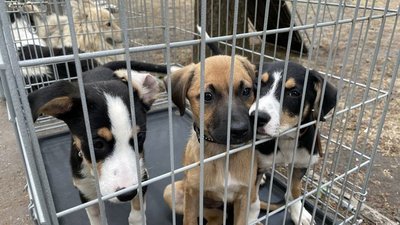 куди піти в Миколаєві на вихідних куди піти в Миколаєві на вихідних