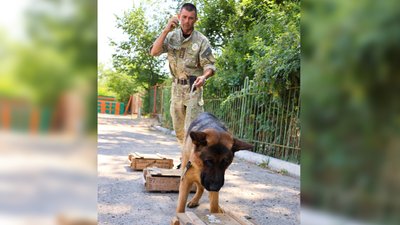 Службовий пес Церон разом з інспектором-кінологом Русланом Пелихом Службовий пес Церон разом з інспектором-кінологом Русланом Пелихом