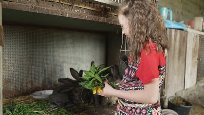 На Вінниччині восьмирічна дівчинка доглядає козеня Лукерію та допомагає родині на фермі На Вінниччині восьмирічна дівчинка доглядає козеня Лукерію та допомагає родині на фермі