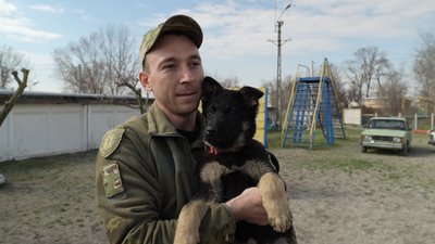 Сем, Лео, Тайфун та Хвоя: у Запоріжжі в кінологічному центрі поліції з’явилися нові чотирилапі помічники Сем, Лео, Тайфун та Хвоя: у Запоріжжі в кінологічному центрі поліції з’явилися нові чотирилапі помічники