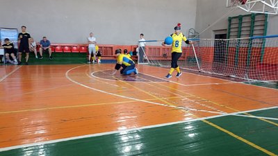 Кубок Донеччини з голболу проходить у Житомирі Кубок Донеччини з голболу проходить у Житомирі
