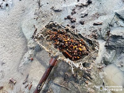 Викрили групу людей, які незаконно видобували бурштин на Рівненщині — поліція області Викрили групу людей, які незаконно видобували бурштин на Рівненщині — поліція області