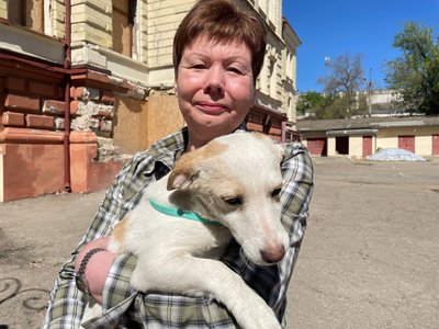 Нові охоронці. Співробітники Херсонського музею прихистили двох цуценят Нові охоронці. Співробітники Херсонського музею прихистили двох цуценят