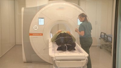 Аби пройти МРТ безкоштовно, потрібно отримати направлення від лікаря