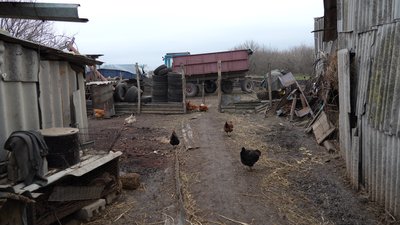 Працюють, тримають господарства і виїжджати не планують. Як живуть у Новопавлівці в 15 км від лінії фронту Працюють, тримають господарства і виїжджати не планують. Як живуть у Новопавлівці в 15 км від лінії фронту