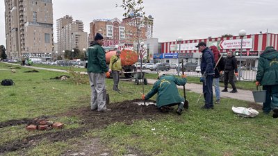 Дерева Харків Дерева Харків