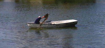 Зелена плівка й водорості: на території яхт-клубу у Дніпрі зацвіла річка. Як борються та чи є загроза для людей і фауни Зелена плівка й водорості: на території яхт-клубу у Дніпрі зацвіла річка. Як борються та чи є загроза для людей і фауни