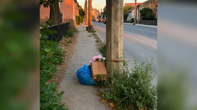 Пакети зі сміттям на вулиці Руській у Чернівцях Пакети зі сміттям на вулиці Руській у Чернівцях
