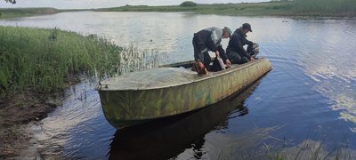 Ботанічна експедиція: у нацпарку на Рівненщині доповнили колекцію рослин понад 30 видами Ботанічна експедиція: у нацпарку на Рівненщині доповнили колекцію рослин понад 30 видами