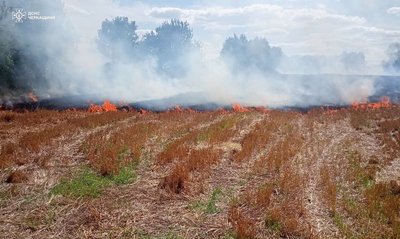 На Черкащині за добу ліквідували пʼять пожеж сухої рослинності На Черкащині за добу ліквідували пʼять пожеж сухої рослинності