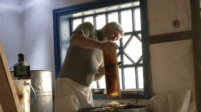 Бджоли як медитація: історія родинної справи пасічника з Черкащини Бджоли як медитація: історія родинної справи пасічника з Черкащини