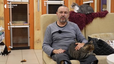 43 коти, щоденне лікування та пошук родин: як працює одеський притулок тварин з інвалідністю