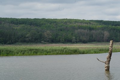 оскільське водосховище оскільське водосховище