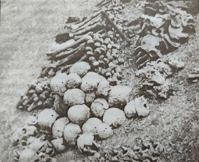 цум і археологи цум і археологи