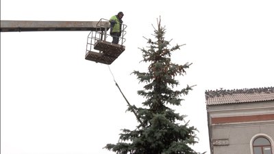 На Черкащині подружжя подарувало місту ялинку до різдвяних та новорічних свят
