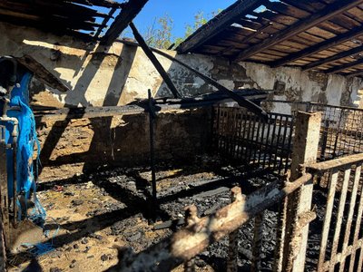 Збитків на мільйони. Що розповіла власниця про інцидент на фермі поблизу Кривого Рогу Збитків на мільйони. Що розповіла власниця про інцидент на фермі поблизу Кривого Рогу