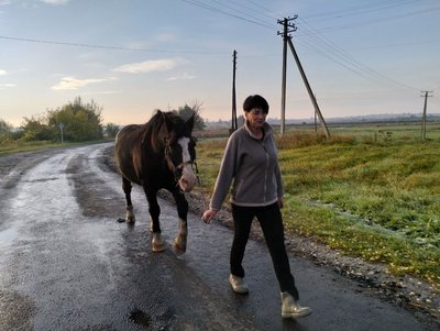 Волинянка сама веде господарство, поки чоловік захищає Україну: “Мене врятувало хазяйство” Волинянка сама веде господарство, поки чоловік захищає Україну: “Мене врятувало хазяйство”