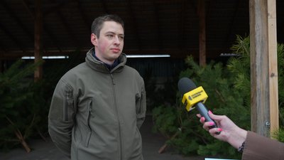 “Доки живемо- святкуємо”: де придбати та які ціни на новорічні дерева в Сумах “Доки живемо- святкуємо”: де придбати та які ціни на новорічні дерева в Сумах