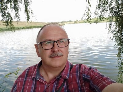 Портулак на городі: як він поширюється, чим корисний і чи можна його вивести Портулак на городі: як він поширюється, чим корисний і чи можна його вивести
