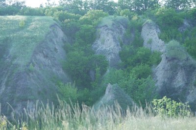 «Порівнюють з Новою Зеландією». Що відомо про балку Сажівку поблизу Дніпра «Порівнюють з Новою Зеландією». Що відомо про балку Сажівку поблизу Дніпра