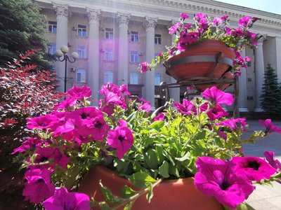 Крадуть квіти з клумб Крадуть квіти з клумб