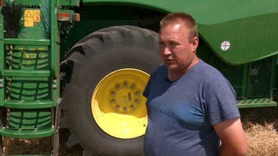 Жнива на Чернігівщині: у липні почали збирати урожай озимої пшениці Жнива на Чернігівщині: у липні почали збирати урожай озимої пшениці