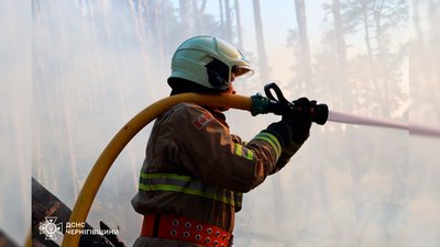 Пожежник гасить пожежу у лісі під Черніговом 27 травня 2024 року Пожежник гасить пожежу у лісі під Черніговом 27 травня 2024 року
