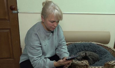 "Залишають, зраджують, викидають": у Черкасах просять створити притулок для котів