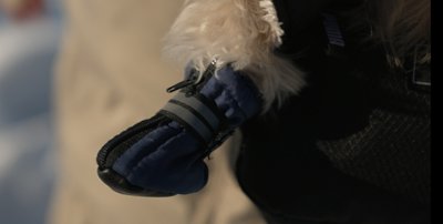 Зимове взуття для собак, лапка собаки Зимове взуття для собак, лапка собаки