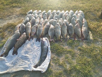 На Одещині затримали браконьєрів з уловом на понад 190 тисяч гривень