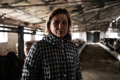 "Увімкнули генератор і доїмо": як працює молочнотоварна ферма у селі Хустянка на Сумщині