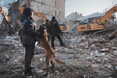 Бельгійська вівчарка Мрія шукає тіла загиблих під завалами у Харкові Бельгійська вівчарка Мрія шукає тіла загиблих під завалами у Харкові