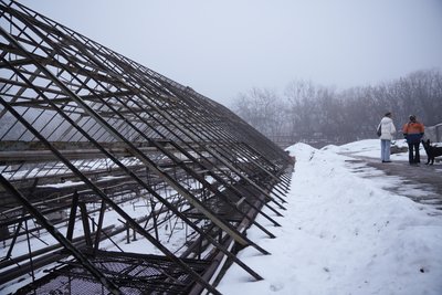Понад 25 тисяч рослин: як у Полтаві готують до весняної висадки пошкоджені під час обстрілу рослини Понад 25 тисяч рослин: як у Полтаві готують до весняної висадки пошкоджені під час обстрілу рослини