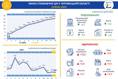 Яйця та овочі здорожчали, а гречка подешевшала: як змінилися ціни у Чернівецькій області Яйця та овочі здорожчали, а гречка подешевшала: як змінилися ціни у Чернівецькій області