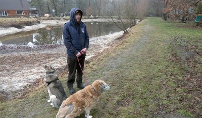 "Таємний Санта для безпритульних тварин": волинські активісти збирають корм для собак і котів "Таємний Санта для безпритульних тварин": волинські активісти збирають корм для собак і котів