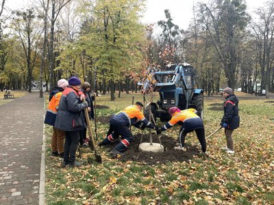 Більше 250 дерев та 300 кущів висадять цієї осені в Полтаві