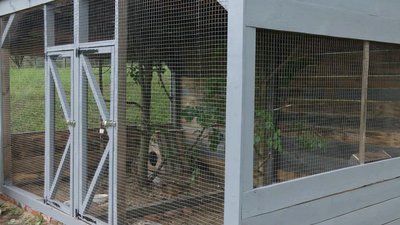 Відпочинок на Чернігівщині: у національному природному парку створили нову локацію