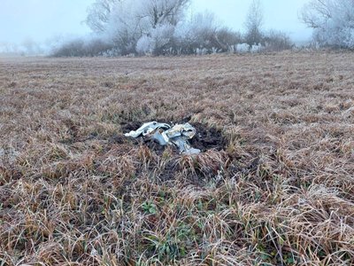 На територію Молдови впали уламки ракет На територію Молдови впали уламки ракет