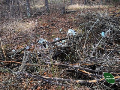 Понад 600 га нічийних лісів перейдуть під охорону держави: лісівники фіксують збитки у мільйони Понад 600 га нічийних лісів перейдуть під охорону держави: лісівники фіксують збитки у мільйони