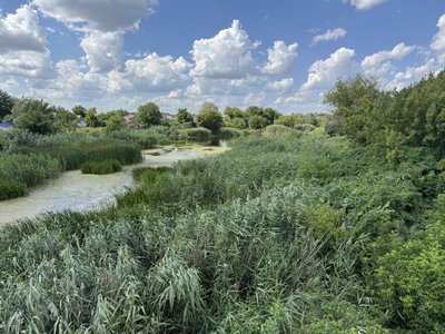 "По кісточки було": у річках Полтавщини виявили низький рівень води "По кісточки було": у річках Полтавщини виявили низький рівень води