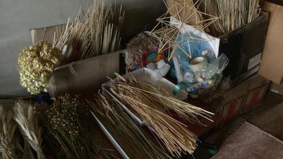 «Обов'язково треба показувати людям»: хмельничанка вирощує понад два десятки видів сухоцвітів та створює з них декор «Обов'язково треба показувати людям»: хмельничанка вирощує понад два десятки видів сухоцвітів та створює з них декор